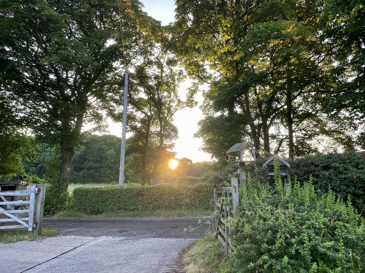 1901gennelm's tweet image. Wishing everyone a very Joyful and Happy Summer Solstice