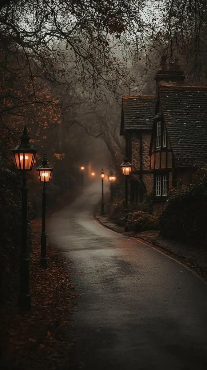 👻 𝘯𝑎𝘵𝑢𝘳𝑒 👻 (@spooky_nature) on Twitter photo 