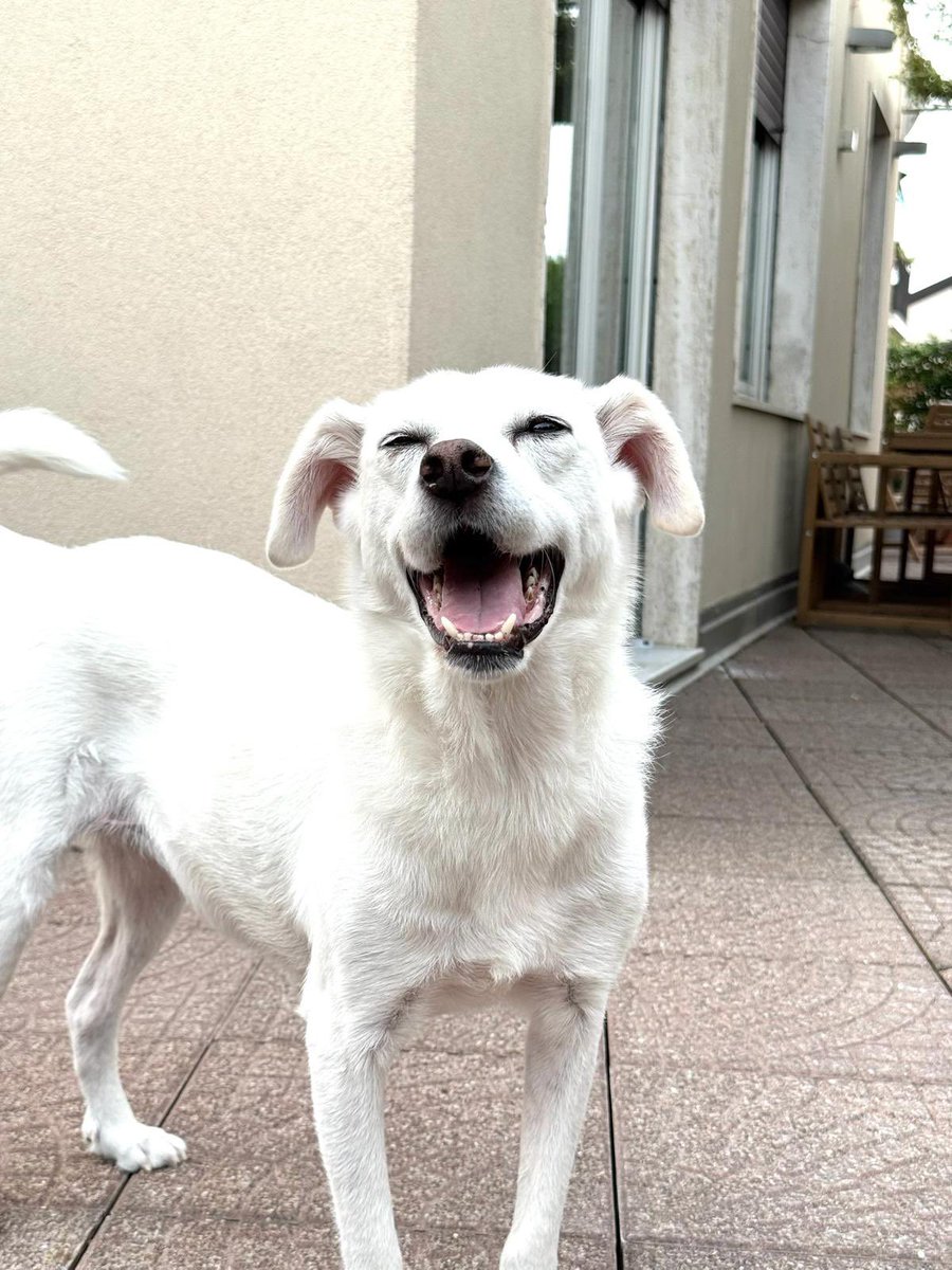 La felicità del fine settimana! 💖
Buon weekend a voi!