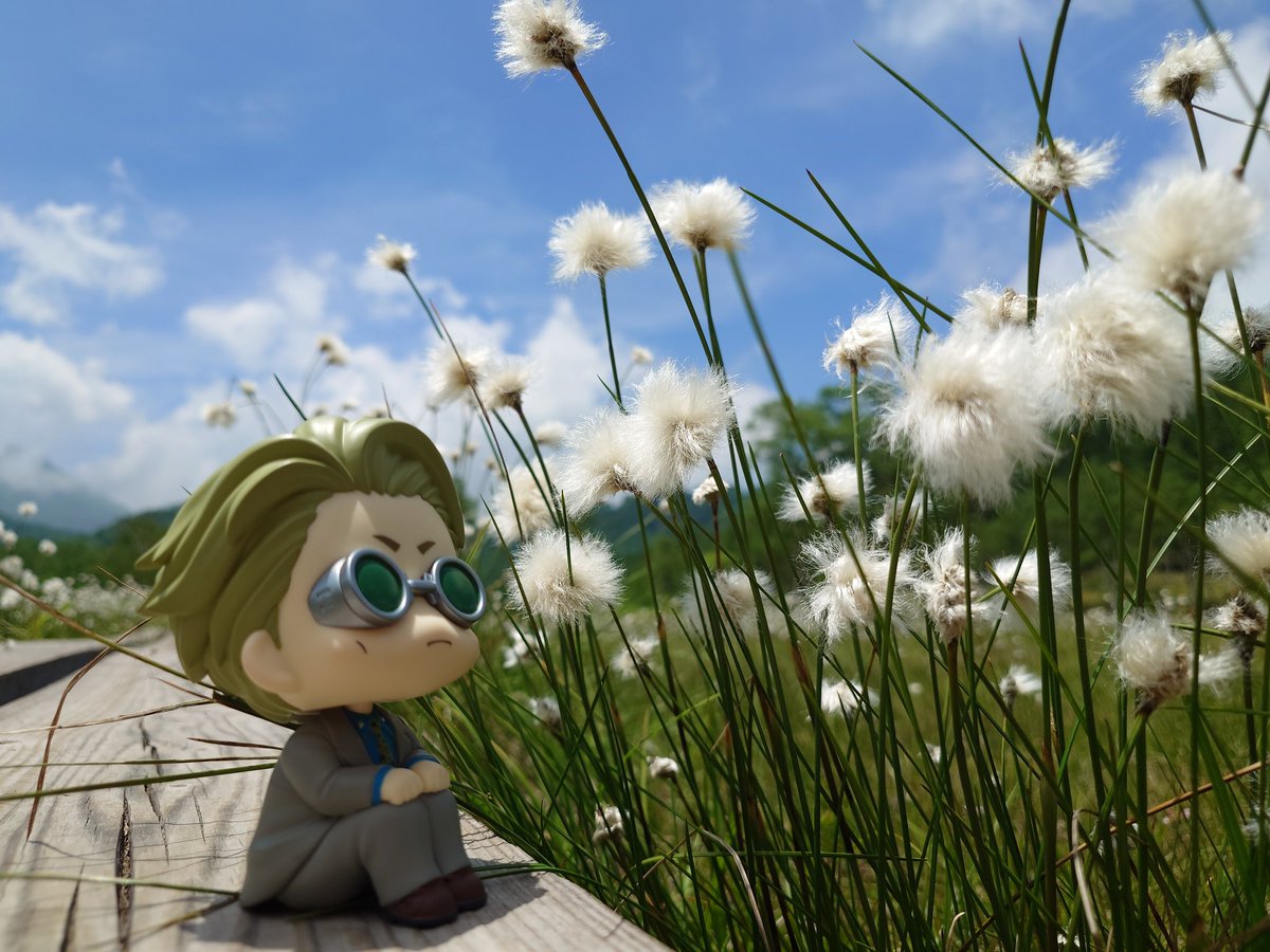 ぽわぽわですね…