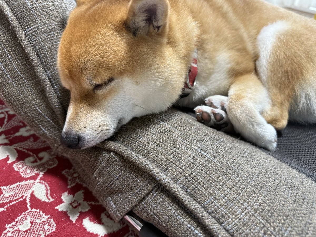 可愛いすぎる僕