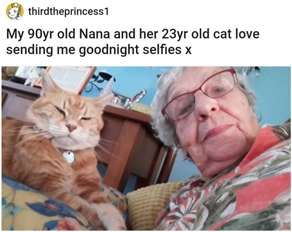 WholesomeMeme's tweet photo. https://t.co/wOKk5E3qzm