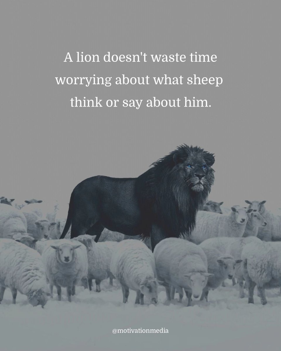 15 Wise Truths About Life That Hit Hard and Stay Long

1.