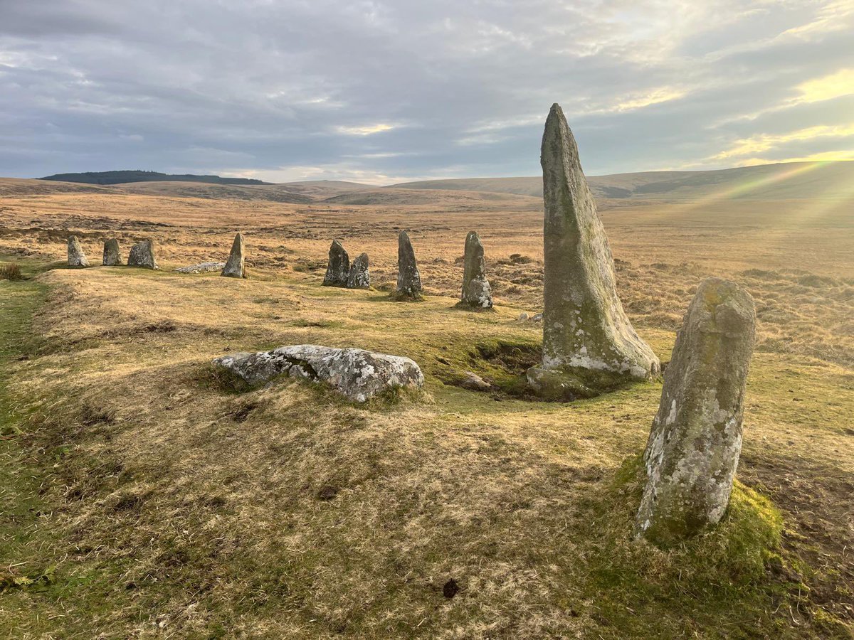 A very happy summer solstice to you all from Stone Club ✨🌳🪨💫