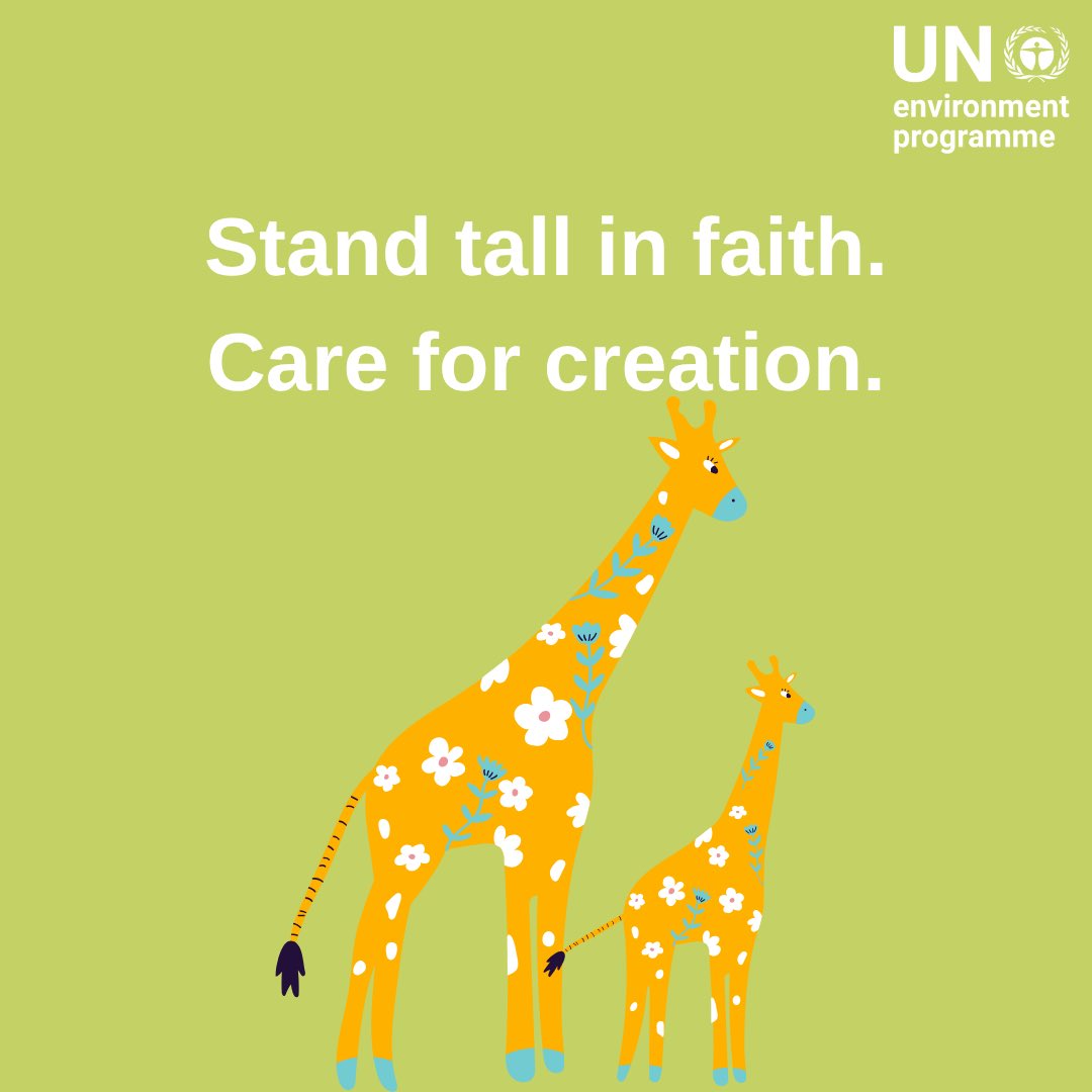 “Every creature is a sign of the Creator.”

🦒 Giraffes reflect the beauty of creation — yet they are quietly disappearing.

Let faith move us to act:
🌱 Learn. Pray. Protect.
#WorldGiraffeDay #Faith4Earth #CreationCare #StandTallForWildlife