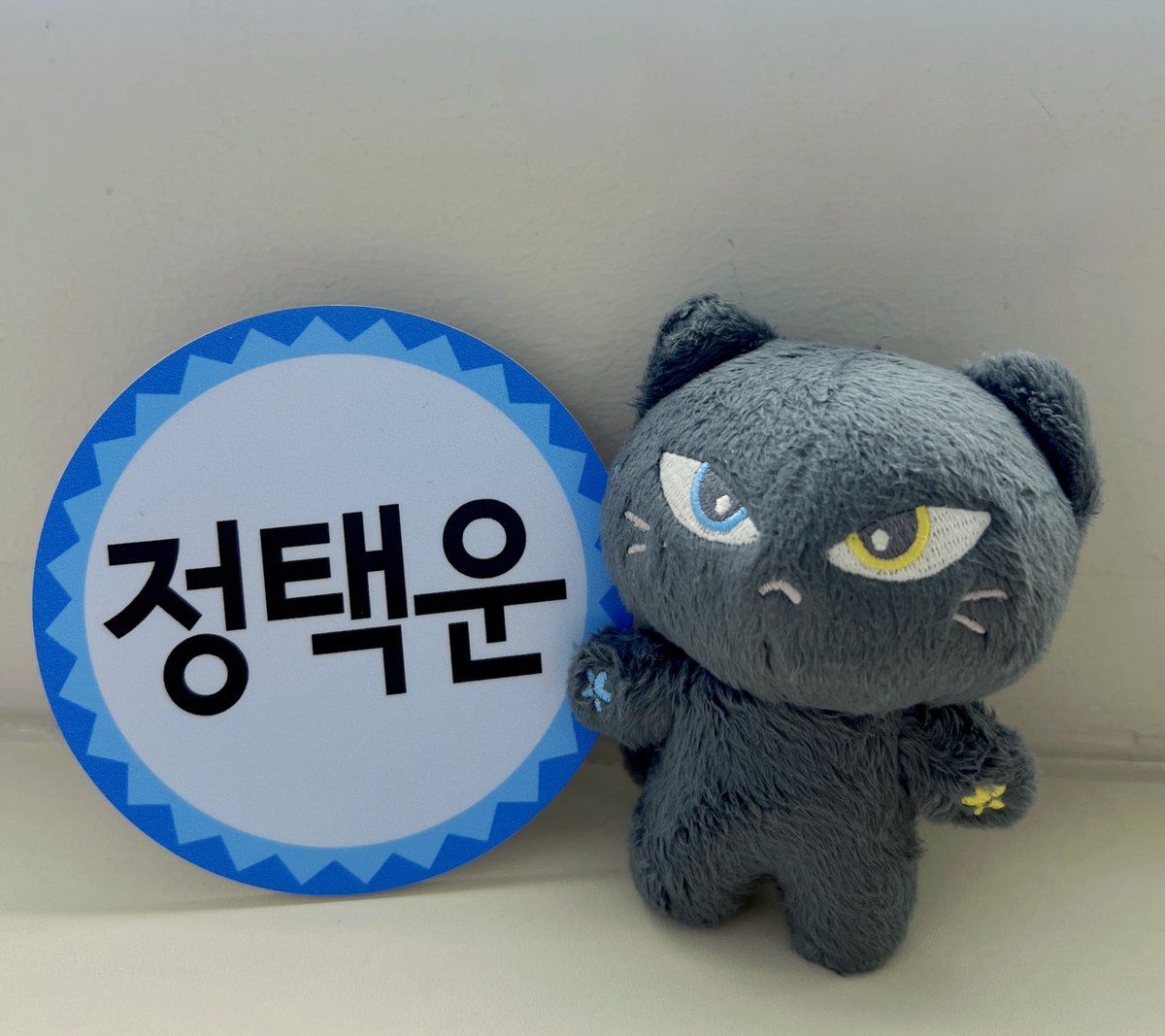 OfficialJTW_LEO's tweet image. [📢NOTICE]

오늘 밤 9시❕
뮤지컬 멤피스 팀 in 형님 학교,
첫 공연에 초대합니다🎶

JTBC &amp;lt;아는 형님&amp;gt;에서
아직 예능 어린이 택운이와 만나요✨
(공연 보는 돌멩이들도 나중에 챙겨보기🩵)

#정택운 #JUNGTAEKWOON
#레오 #LEO
#뮤지컬 #멤피스 #휴이 #택휴이
#아는형님
