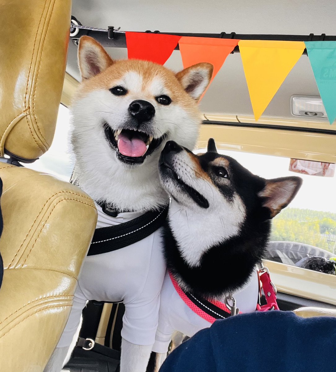 大竹耕太郎ガンバレ‼️👍🏻