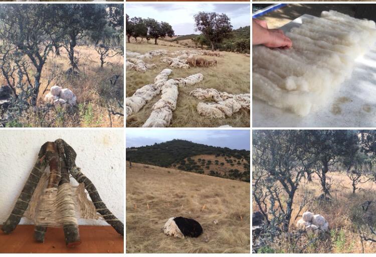 Trabajos hechos en la finca El Arreciado de nuestra compañera Iraida, q coordinó y dió cobijo al XII Simposio Internacional de la #Lana
Mucho amor x este producto natural, muchos proyectos, mucha/os artistas y productores junta/os, conseguiremos revalorizar la lana como se merece