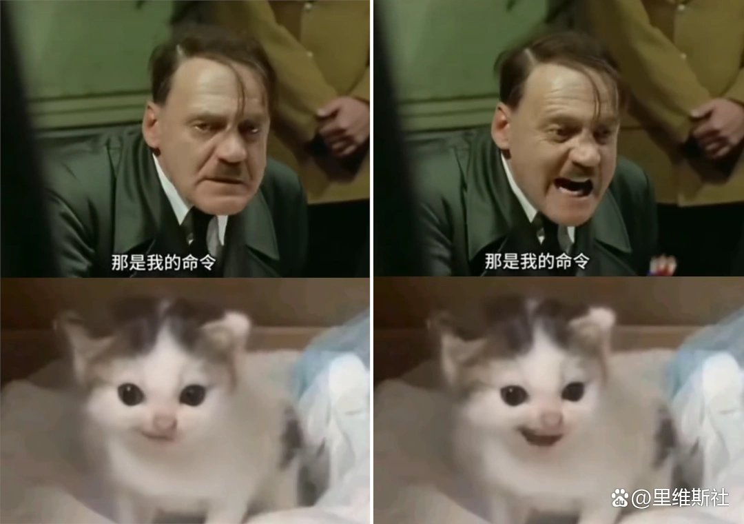 H_mikanneko's tweet photo. @SocialistMMA ✋          
   \  😡
       囗)
     亅亅 https://t.co/rGYttU0e1v