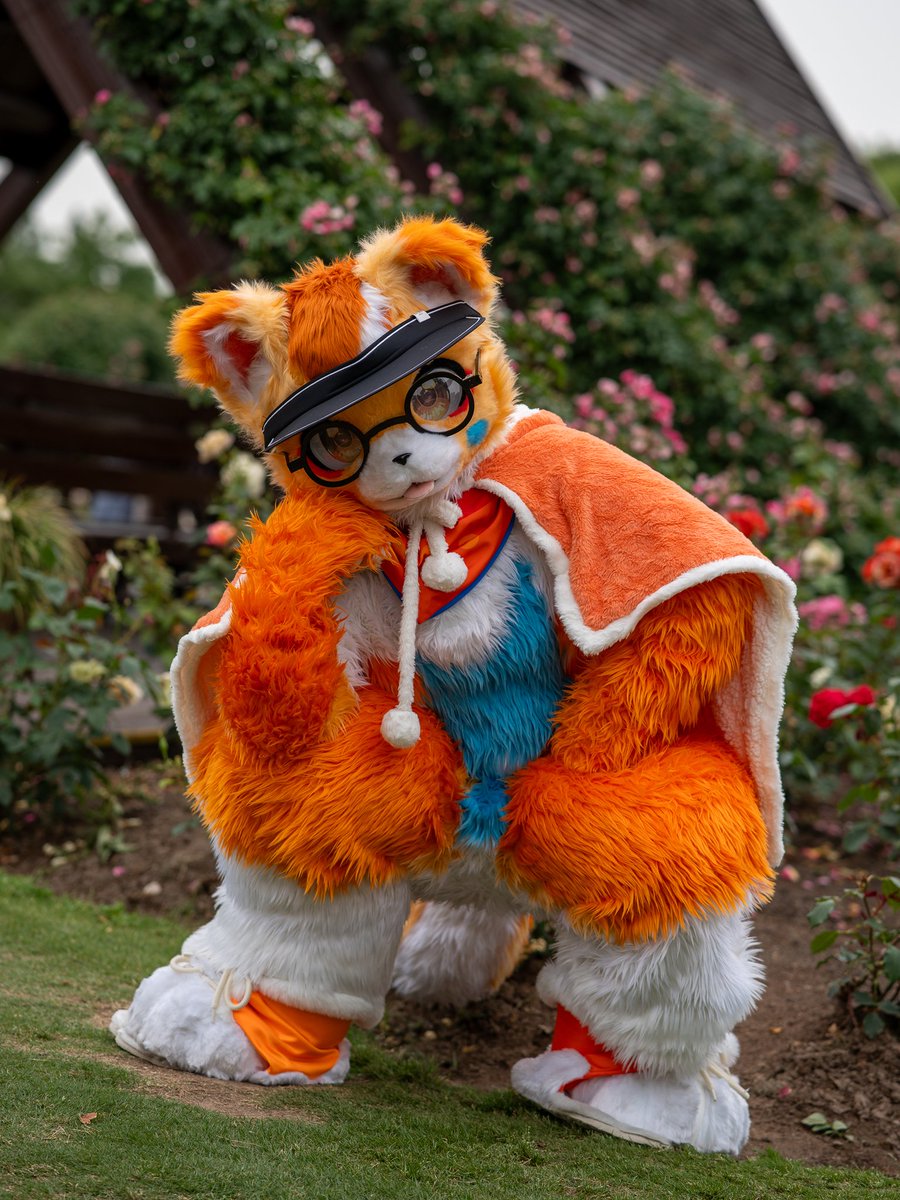 #FursuitsFriday
（翘尾巴）是你在看我吗？

小熊猫： <a href="/shuiyuan_qs/">清纯水源</a> 
📷： <a href="/NemoWilde/">旅行猫咪 | No One but Nemo 🔜 旅行猫咪银行</a>