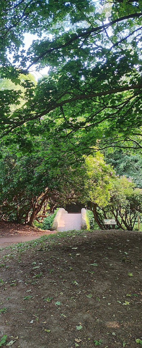Jesmond Dene parkrun tweet media