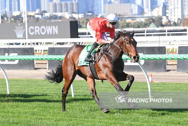 Patrick and Michelle Payne won four races at Flemington on Saturday, their first quartet as training partners.

Patrick trained four winners on the same card twice at Mildura in July 2019 and May 2022.