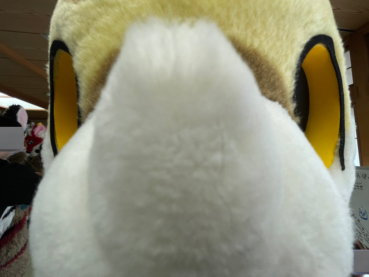 これはめちゃくちゃブサイクなラスク