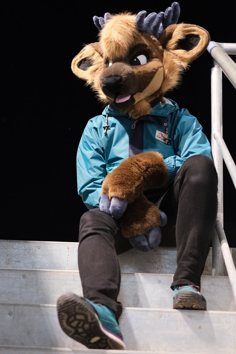 briar bramble tweet media