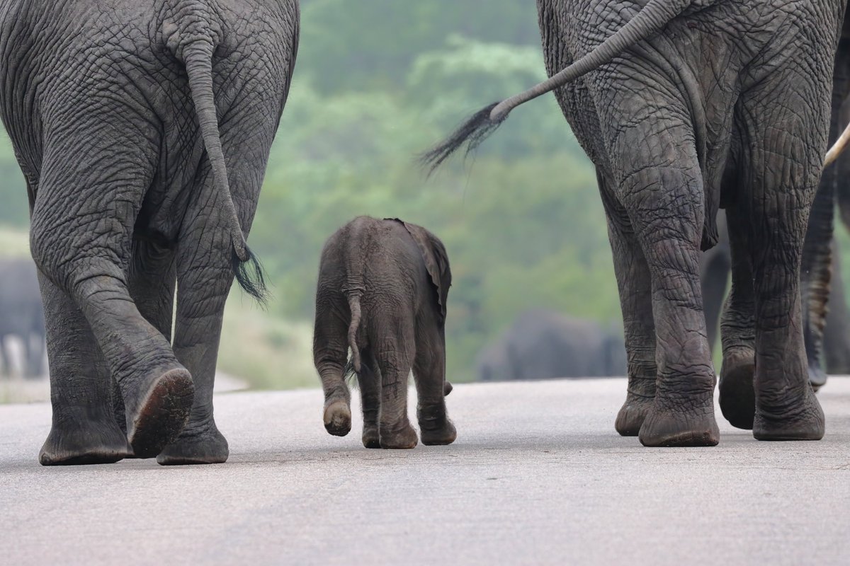 Saturday soother.