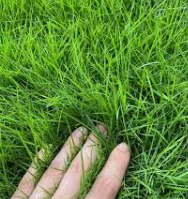 Opensea's voyage is about to reach land  #openseatouchgrass #opensea