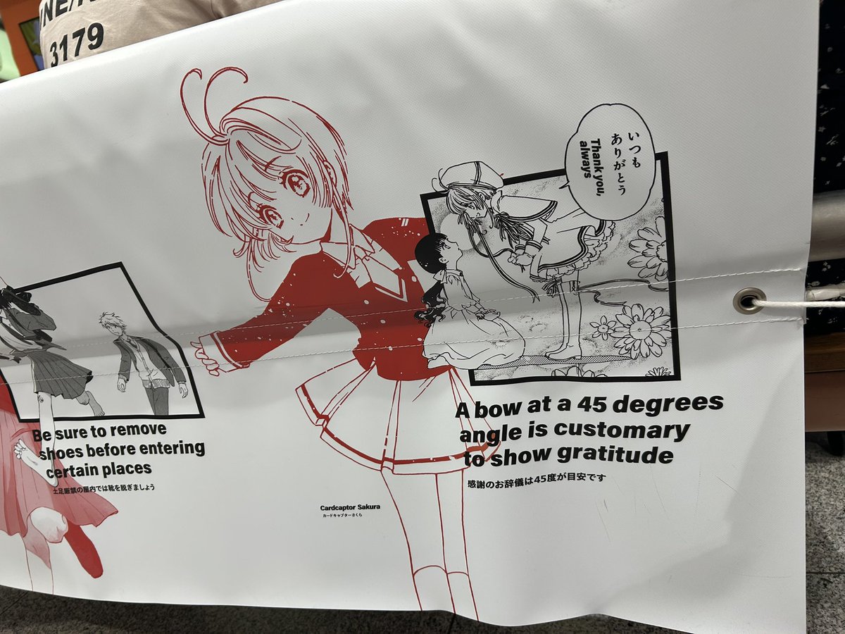 さくらさん、いた!机にもいたけど流石に撮影できず… 
