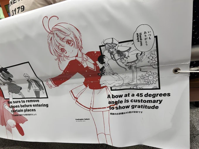 さくらさん、いた!机にもいたけど流石に撮影できず… 