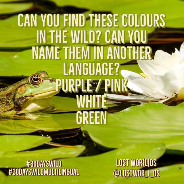 Dr Sabine Little tweet media