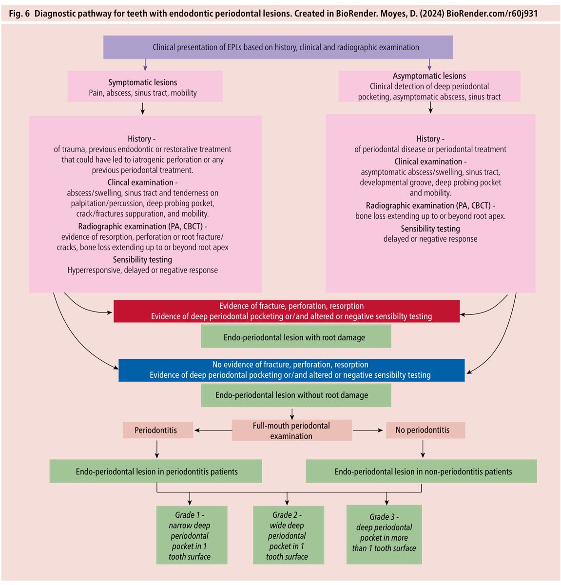 Dr.Bandar tweet media
