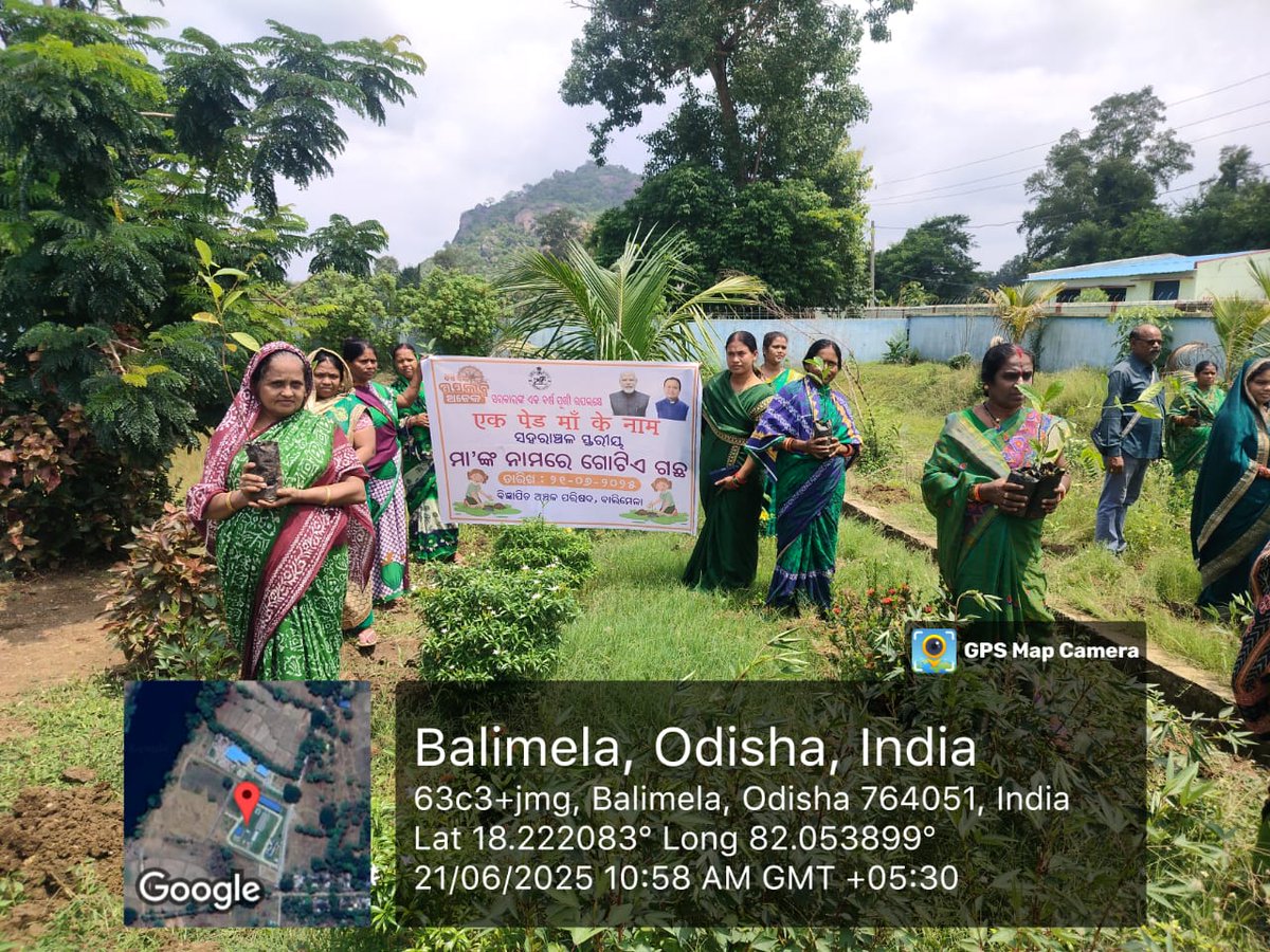 EBalimela's tweet photo. Tree plantation campaign organised at two different places in Balimela NAC on occasion of one year completion of Government - out reach program under Ek Ped Maa Ke Naam in presence of Chairman, Vice-chair Person, councilors , SHG groups and NAC Staff. https://t.co/ZqnPn4K7v8