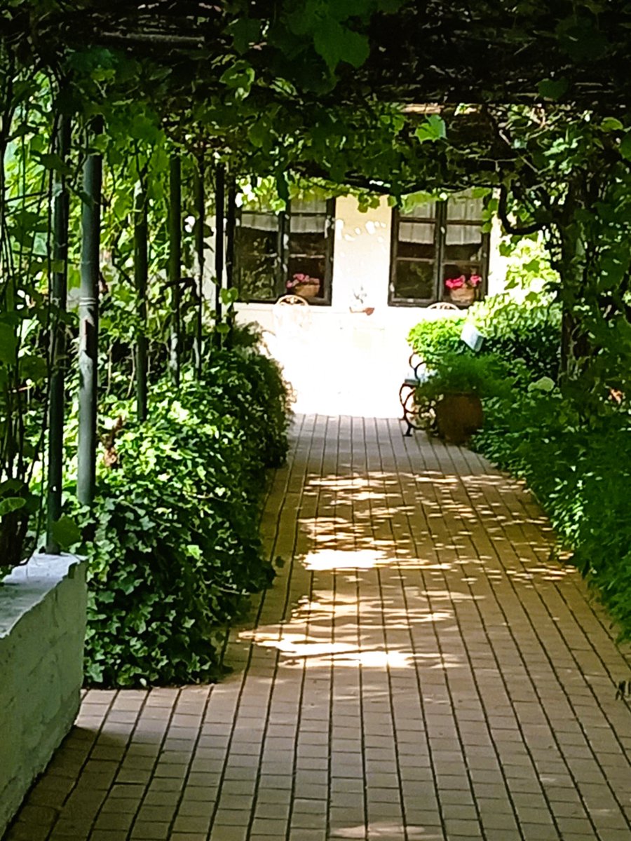 GuberinicSlavko's tweet image. U hladovini čardaklije - jutro zna kuda ide...☕️🥃🌱🌞