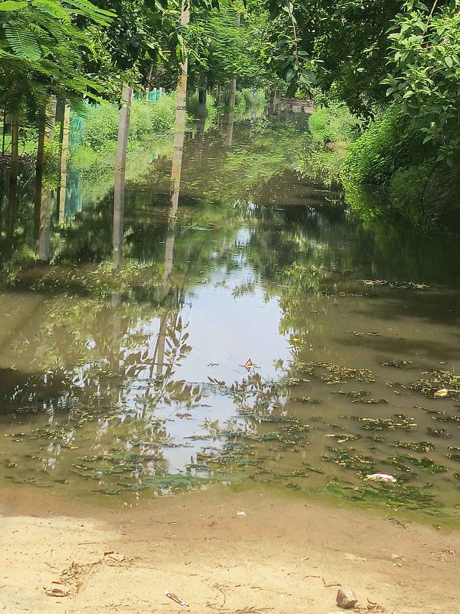 Mukeshk90322103's tweet photo. @MunCorpGurugram ,@OfficialGMDA ,@DC_Gurugram ,@cmohry ,@timesofindia   residents of Pioneer park sector 61 Gurgaon are facing acute difficulty in negotiating entry and exit bcoz of drainage water accumulation  with schools to reopen soon children will be stuck,fr imm att pls. https://t.co/BQVmO3vWav