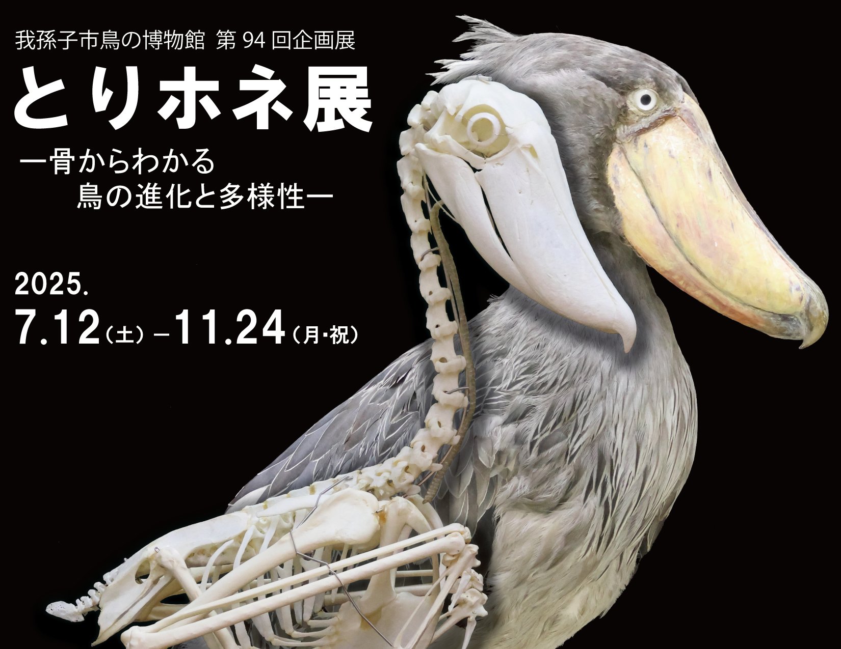 鳥のクレヨン画 ゆめのほとり鳥 (新鋭短歌シリーズ40) | 九螺 ささら |本 | 通販