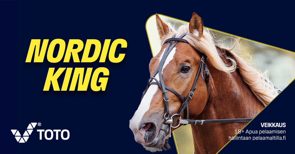 Suora studiolähetys Härmän Nordic King -raveista starttaa TotoTV:ssä, VeikkausTV-19-kanavalla (antenniverkon kanavapaikka 19), MTV Maxilla ja Ruutu+ -palvelussa klo 13. Studiossa Sara Perttunen ja Tappi Hoikka. #ravit #vedonlyönti #betsit
