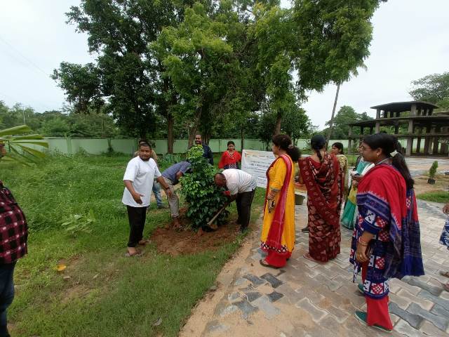 odays Plantation works under "Ek Ped Maa ke Naam Abhiyan" at Model Crematorium , NAC, Attabira r, in presence of Executive Officer ,All staffs , Swachasathi/Supervisors and SHG Members and other  with regards Attabira NAC