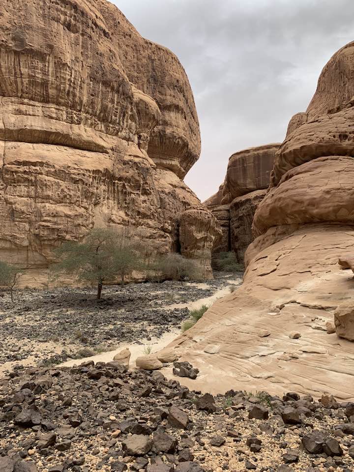 جولة استكشافية شمال العلا
Exploring north of AlUla