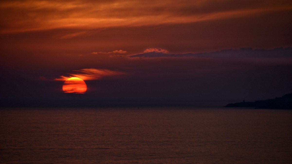 La cigüeña con su regalo 🎁 ....
(Ampliad la imagen👌🥰)