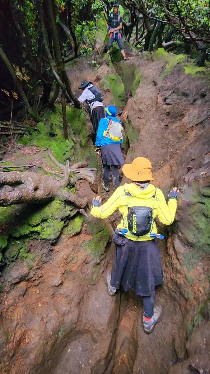 melasimela's tweet photo. Ditengah gundah...
Rindu berada disini... 

#menujupos3gnkerinci 
#gunungkerinci https://t.co/AXFsyyHKTN