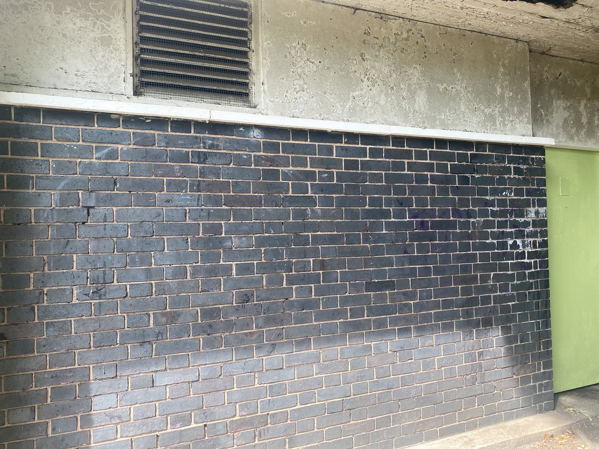 Did a bit of painting with <a href="/ChalleNGeNottm/">ChalleNGe</a> on Friday prepping the wall for the #RSEday mural in the Arboretum. Watch this space for the transformation! <a href="/AngelaKandola/">Angela Kandola BEM</a>