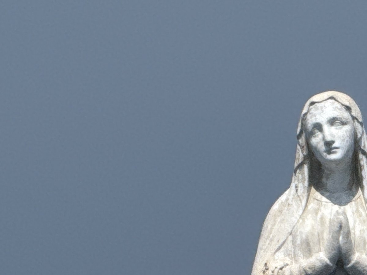 russellcrowe's tweet image. Where am I now?