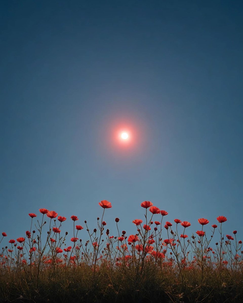 .

First day of Summer,
deliciously sweet
in the dappled light.
.

🩵