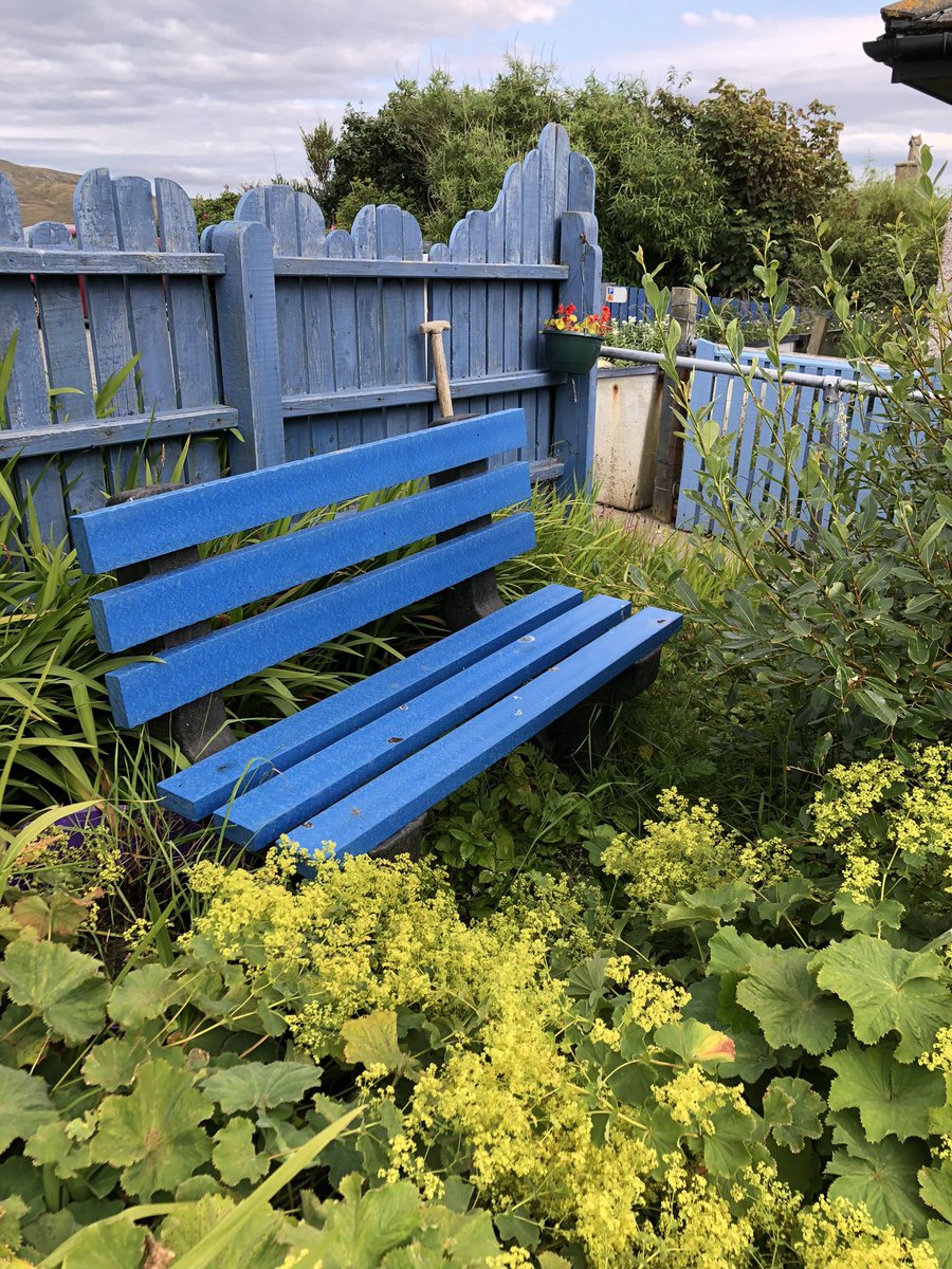 Having a wee moment in our other waiting room listening to the sparrows and the wind!