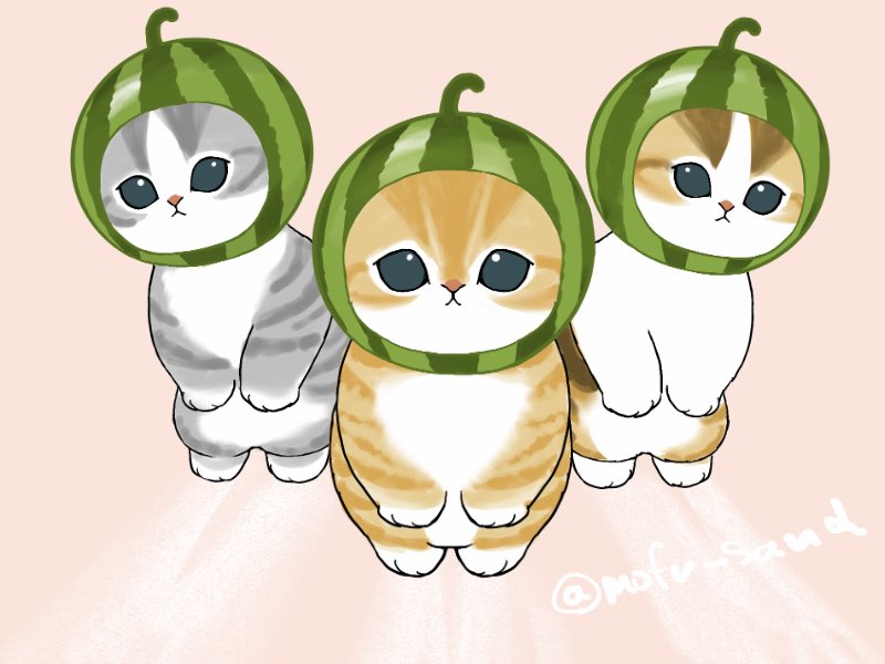 スイカおいしいね🍉