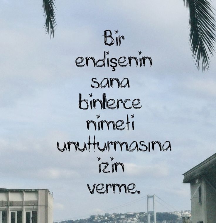 Monna Rosa (@ayaserenat) on Twitter photo 