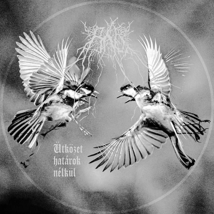 Bandcamp download codes (@getmusicfm) on Twitter photo Free download codes:
BÁL - Ütközet határok nélkül (Full-length)
<a href="/valentBAAL/">BÁL & Bál Records</a>
"Self-made psychotic black metal with a gigantic sound and even bigger atmosphere."
getmusic.fm/l/940jZi
#bandcampcodes #blackmetal #postblackmetal #rawblackmetal Free download codes:
BÁL - Ütközet határok nélkül (Full-length)
<a href="/valentBAAL/">BÁL & Bál Records</a>
"Self-made psychotic black metal with a gigantic sound and even bigger atmosphere."
getmusic.fm/l/940jZi
#bandcampcodes #blackmetal #postblackmetal #rawblackmetal