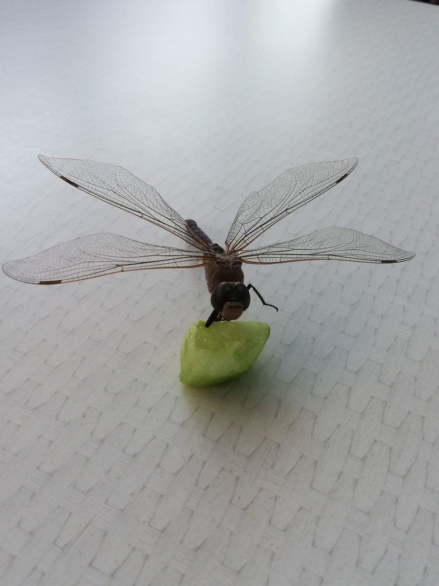 "Tevekkül edenin kalbi rahattır;çünkü bilir ki onun Rabbi her şeyin en  hayırlısını bilir.."