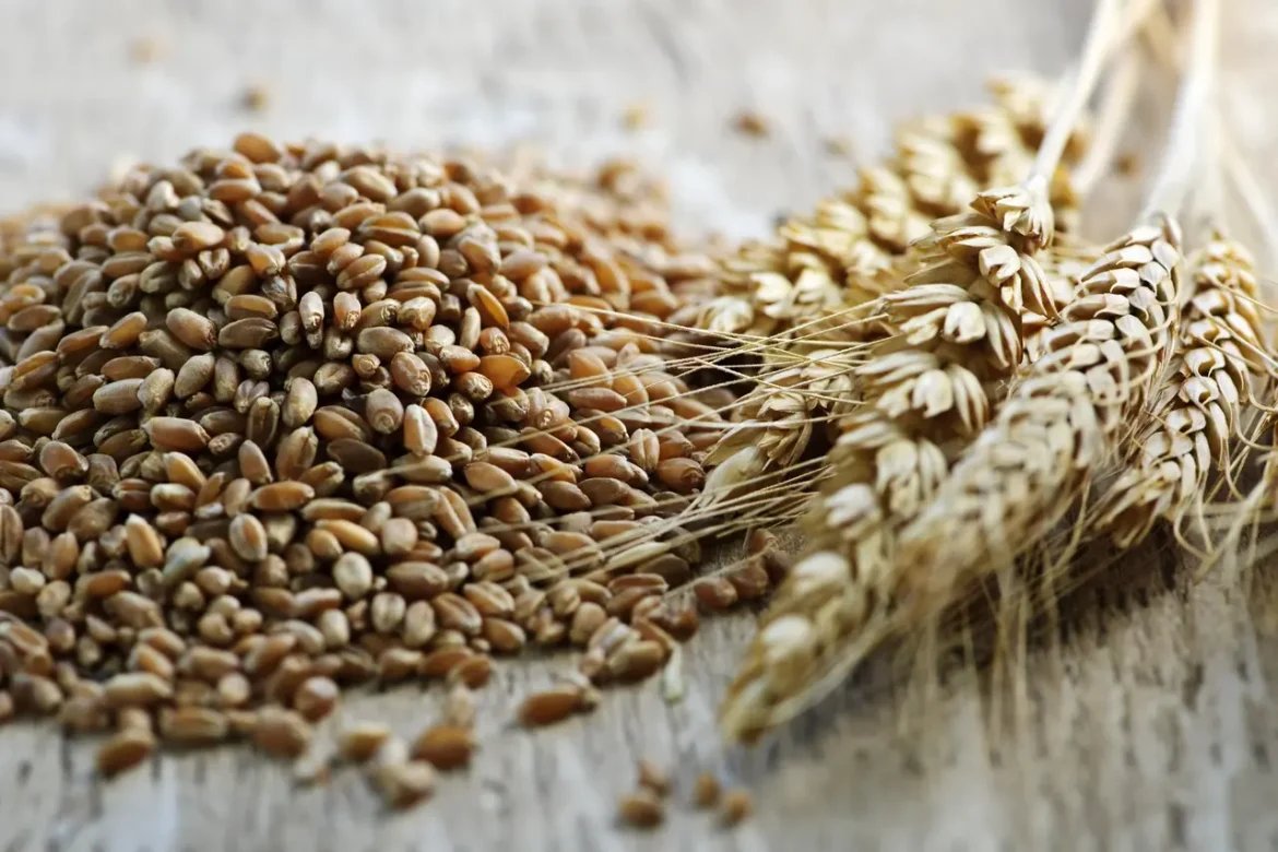 La Inventadera (@lainventadera) on Twitter photo #Nuevo #21Jun
🔍 ¿El gluten es realmente el villano? La ciencia detrás de su impacto en la salud intestinal, la evolución del trigo y por qué algunos lo toleran menos hoy. 🌾📉
✍️<a href="/nuecesitav/">Nuez Moscada</a>
👉 Si comes pan y sientes inflamación, esto te interesa: lainventadera.com/2025/06/21/glu… #Nuevo #21Jun
🔍 ¿El gluten es realmente el villano? La ciencia detrás de su impacto en la salud intestinal, la evolución del trigo y por qué algunos lo toleran menos hoy. 🌾📉
✍️<a href="/nuecesitav/">Nuez Moscada</a>
👉 Si comes pan y sientes inflamación, esto te interesa: lainventadera.com/2025/06/21/glu…