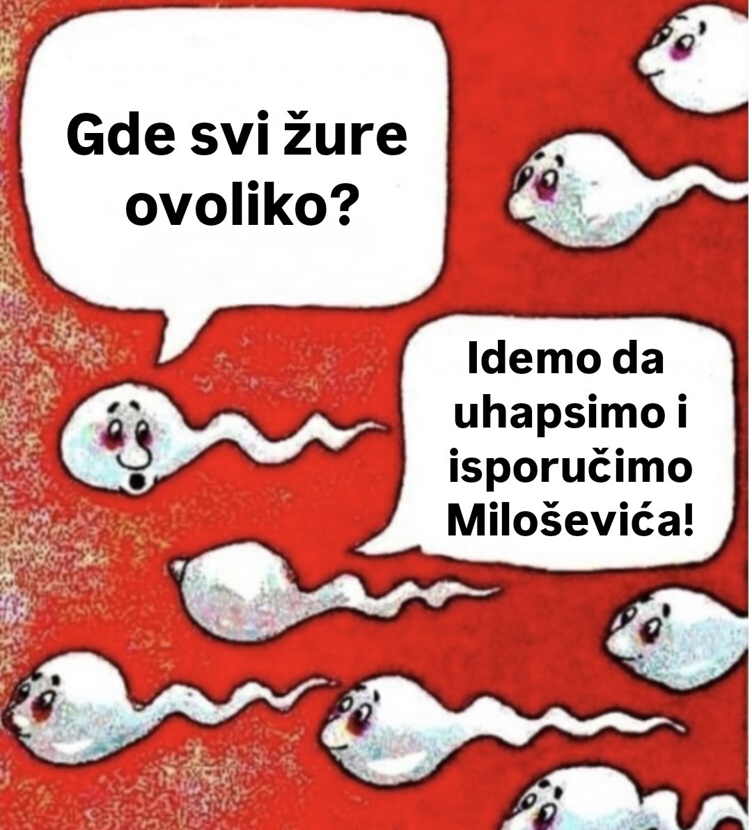 Žele Satiratirac (@zele_jovanovic) on Twitter photo 