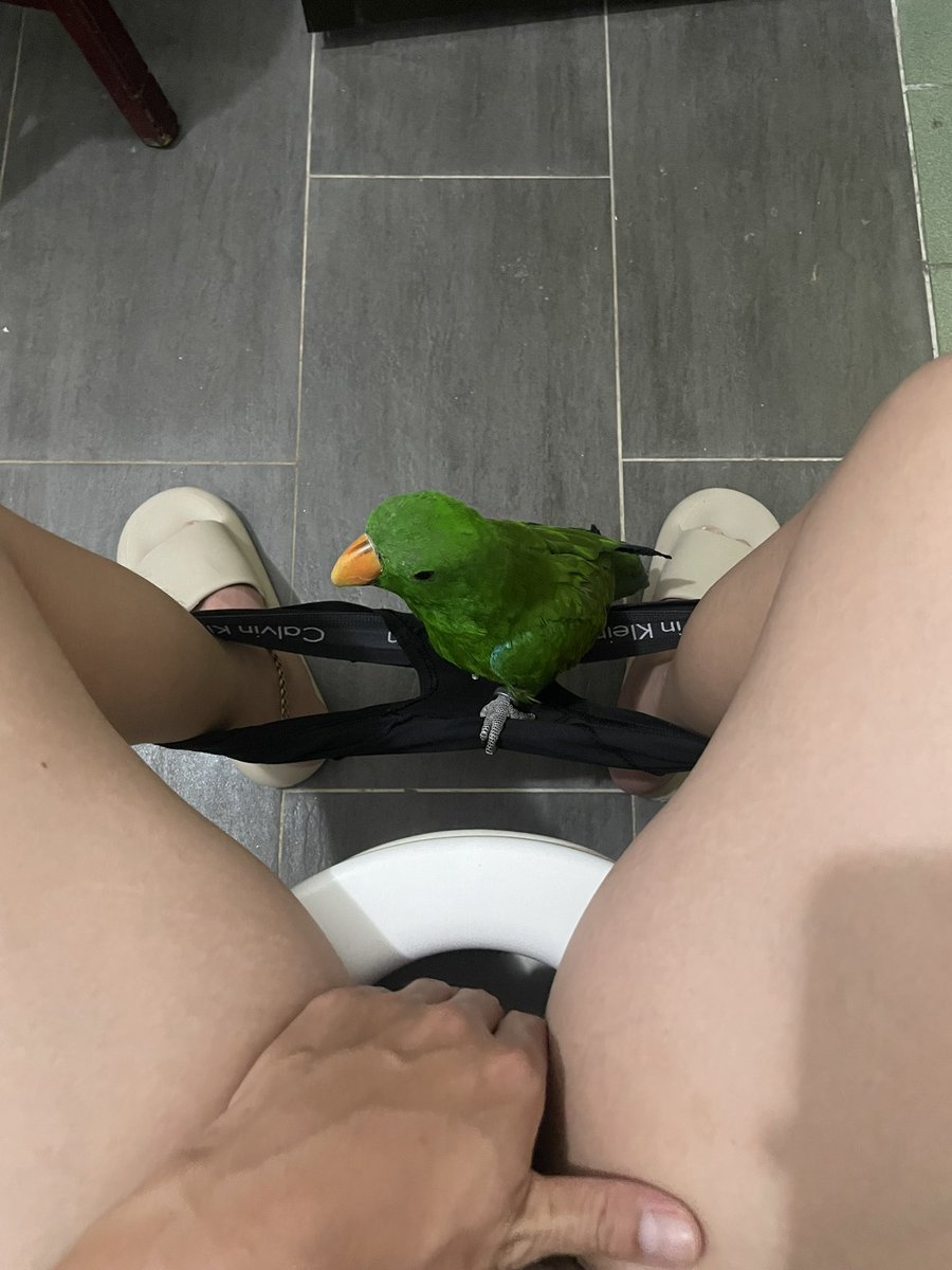 給大家看我的鳥