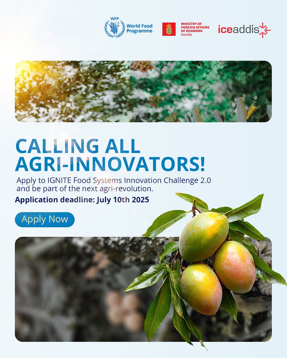 🌾 From boosting yields to sustainable farming practices—IGNITE Food Systems Innovation Challenge 2.0 is looking for innovative solutions that improve agricultural productivity in Ethiopia.

Have an idea that can improve crop or livestock systems?

✅ For SMEs, cooperatives, and