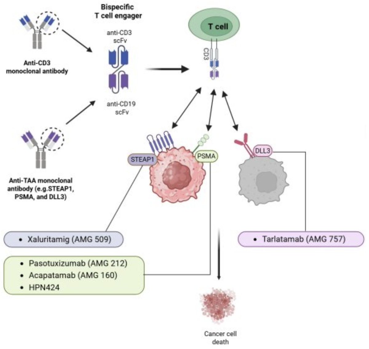 UroToday.com (@urotoday) on Twitter photo Interdisciplinary #GUCancerForum 2025: Advances in #Immunotherapy. Presentation by <a href="/OncHahn/">Andy Hahn</a> <a href="/MDAndersonNews/">MD Anderson Cancer Center</a>. Written coverage by <a href="/chavarriagaj/">Julian Chavarriaga</a> <a href="/UofT/">University of Toronto</a> > bit.ly/43SXyTf Interdisciplinary #GUCancerForum 2025: Advances in #Immunotherapy. Presentation by <a href="/OncHahn/">Andy Hahn</a> <a href="/MDAndersonNews/">MD Anderson Cancer Center</a>. Written coverage by <a href="/chavarriagaj/">Julian Chavarriaga</a> <a href="/UofT/">University of Toronto</a> > bit.ly/43SXyTf