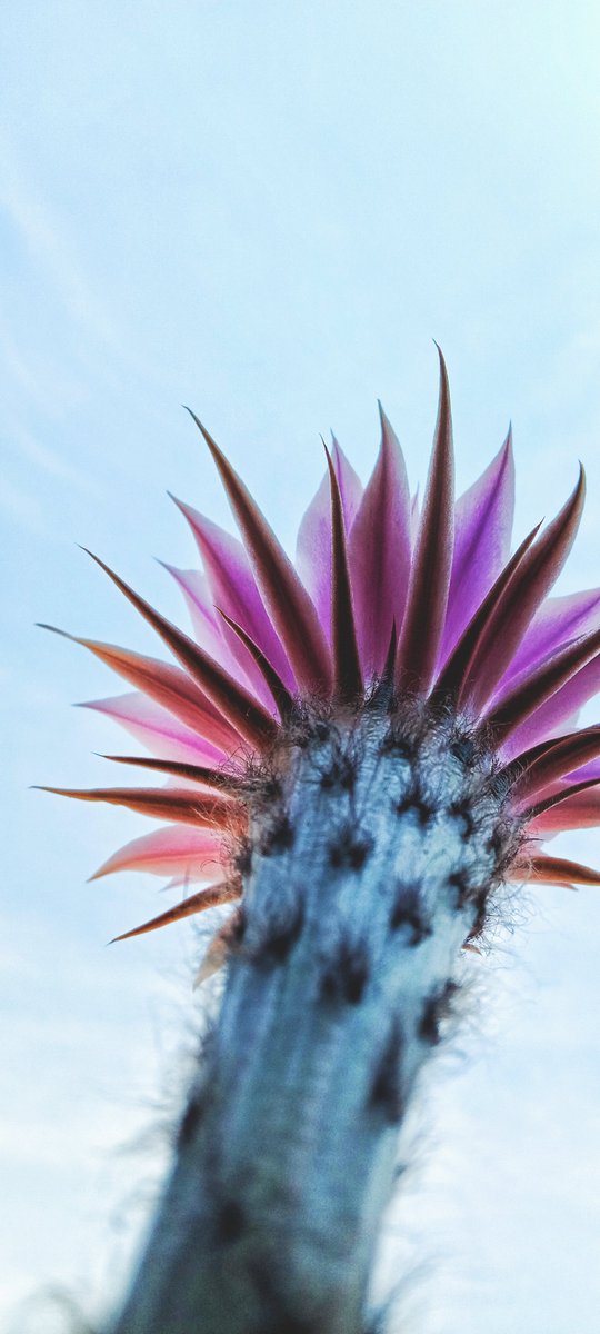 PATOH00h's tweet image. 🫶