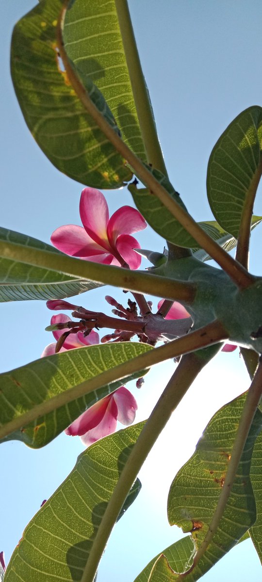 PATOH00h's tweet image. 🫶