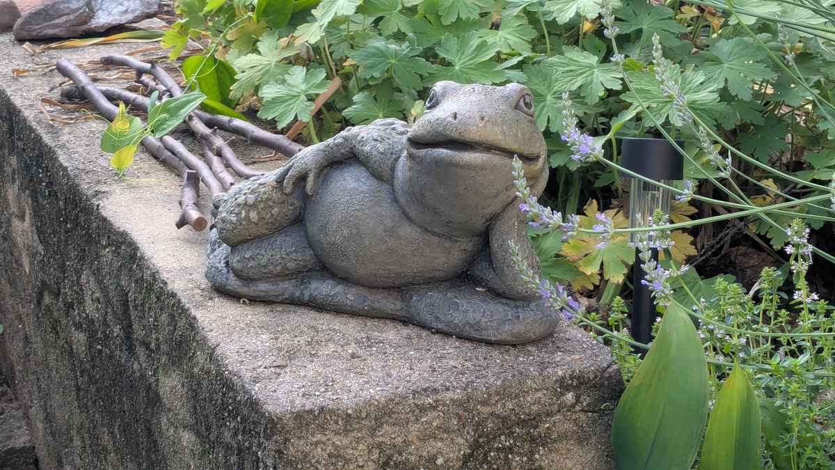 Goopy Art tweet media