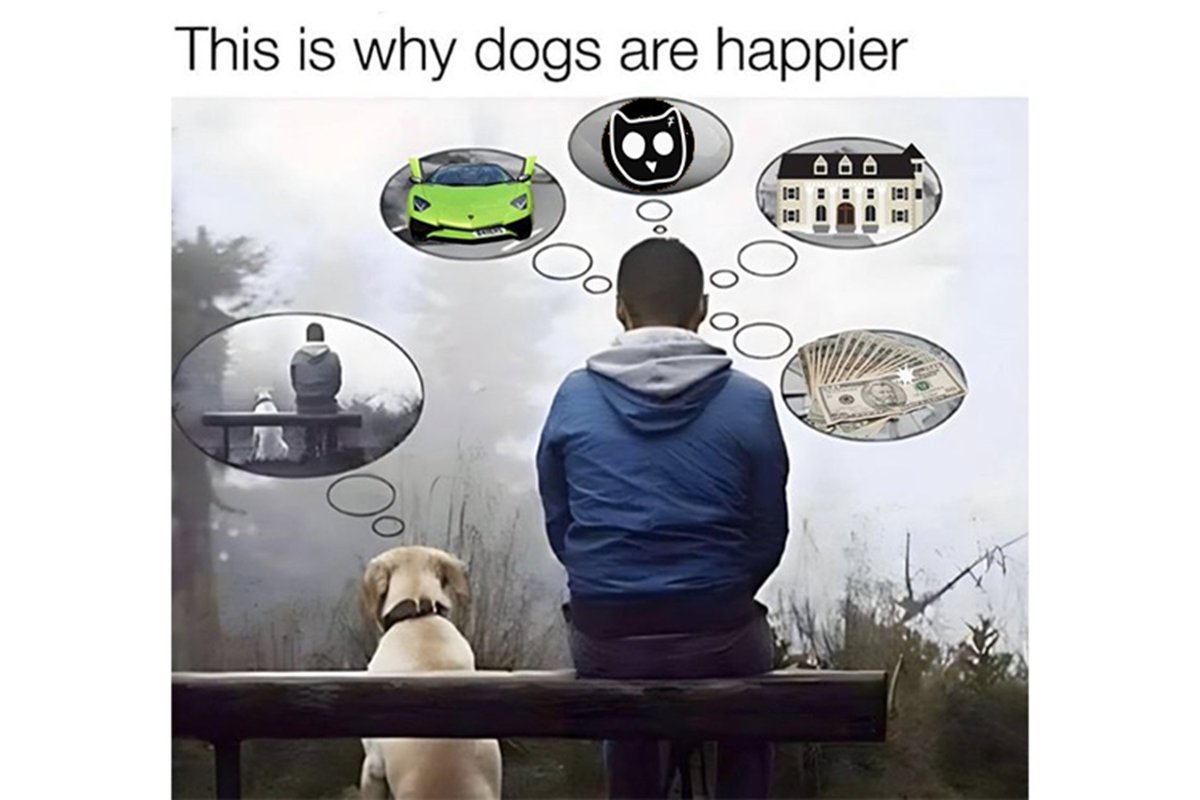 Owls 🦉 (@owlslabs) on Twitter photo 